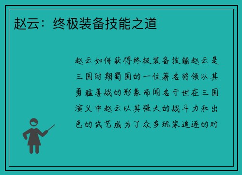 赵云：终极装备技能之道